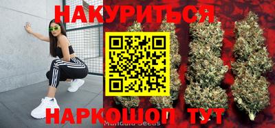 сатива Коммунар
